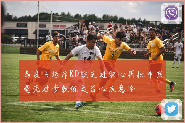 乌度卡怒斥KD缺乏进取心再批申京毫无进步教练是否心灰意冷