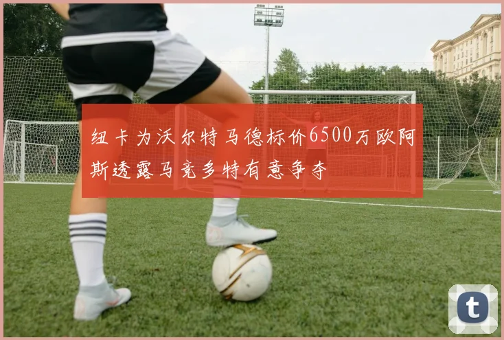 纽卡为沃尔特马德标价6500万欧阿斯透露马竞多特有意争夺