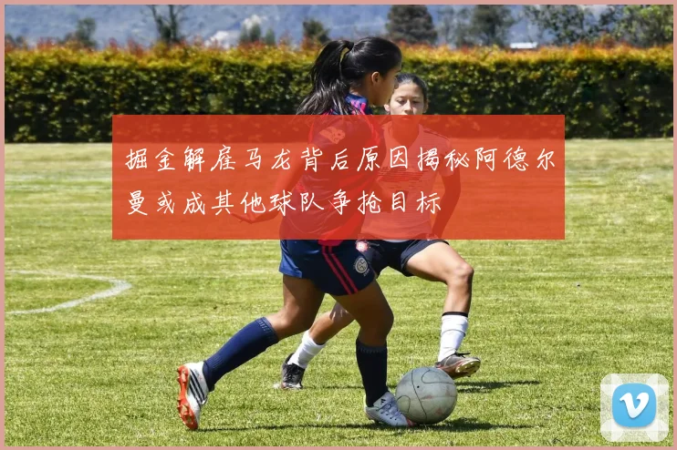 掘金解雇马龙背后原因揭秘阿德尔曼或成其他球队争抢目标